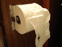 toilet paper roll