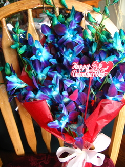 2011 02 Blue Purple Orchids Valentine's Day 