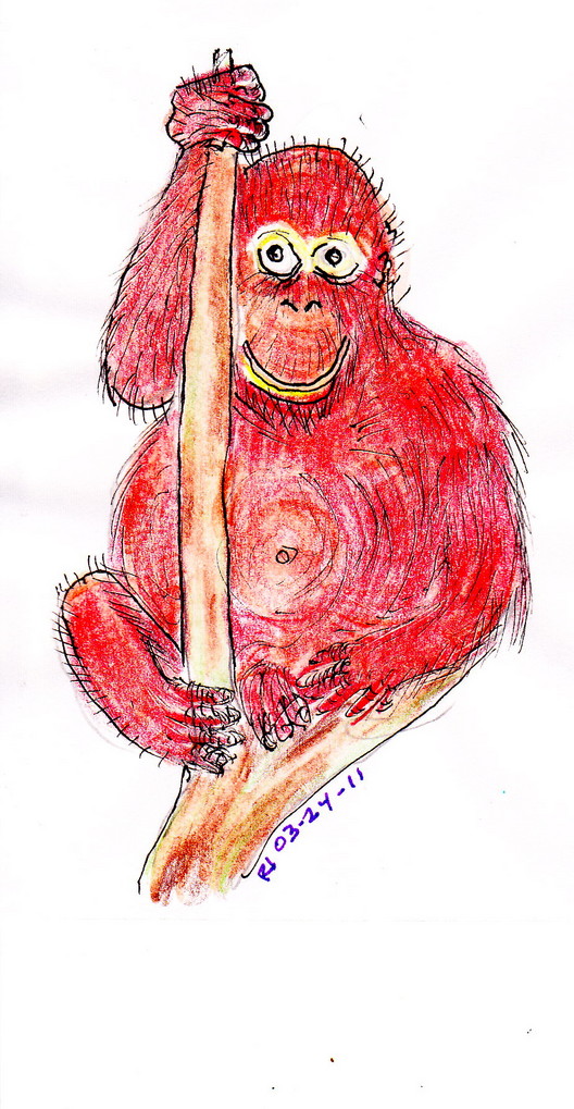 2011_03_24_Rudy_orangutan_DA_card