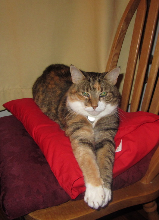 2011_10_Dondersteen_relaxed_queenly_pose