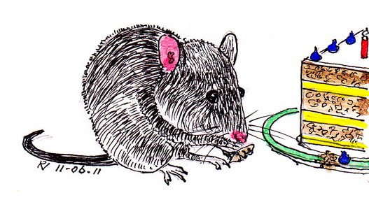 2011 11 Rudy Mouse