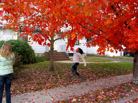 2011 11 Girls Red Tree