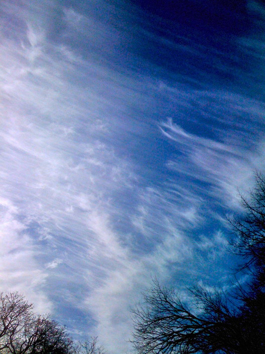 2011 feathery angel wings