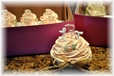 Wedding Favor Cupcakes from Sandy's Sugar Cookies in San Diego