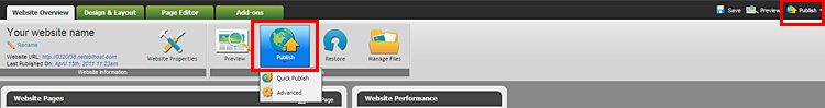 publish button