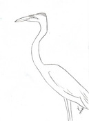 2009_VVA_Heron